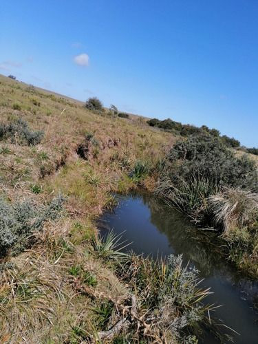 Venta De 30 Hectáreas De Campo En Garzón Maldonado (ref: Ksk-222)