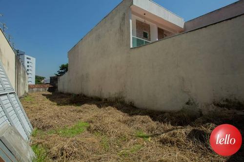 Imagem 5 de 11 de Terreno - Ref: 240727