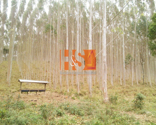 Imagem 6 de 18 de Fazenda - Fa00001 - 69800283