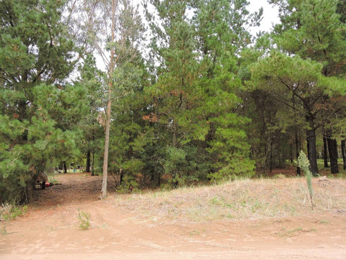 Lote En Venta Sendero I . Costa Esmeralda