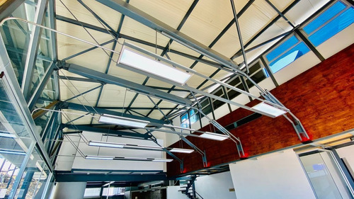 Imagen 8 de 28 de Oficinas En Renta Araucarias Xalapa