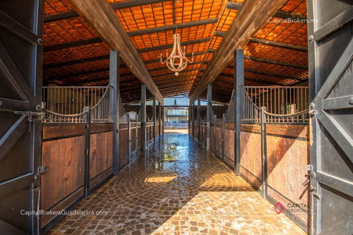 Rancho De Lujo Salon De Eventos En El Sur De Zm Guadalajara