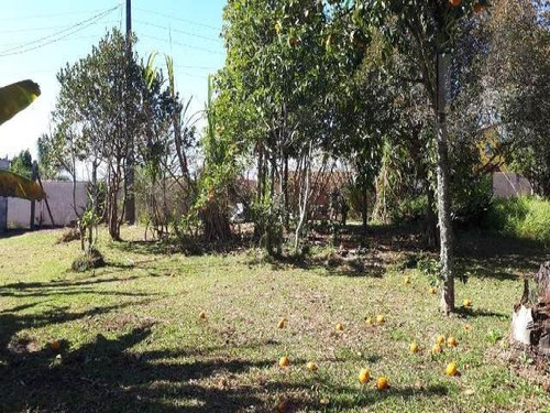 Imagem 1 de 7 de Cod 3617 - 1.000 M² De Frente Para O Asfalto! - 3617