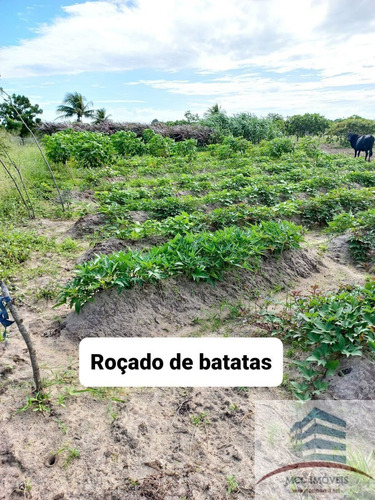 Imagem 18 de 18 de Chácara A Venda Lagoa Das Pedras, Povoado Mandú