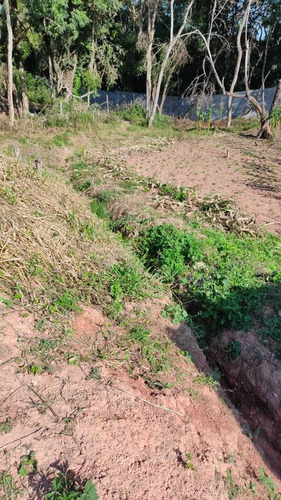 Imagem 3 de 4 de Terreno Proximo A Rodovia Bunjiro Nakao