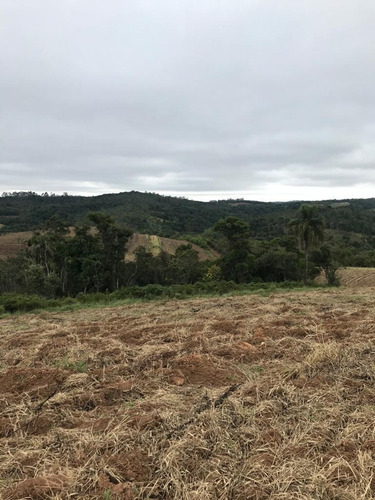 (k.a) 500m² Em Sp - Topografia Plana 500m²