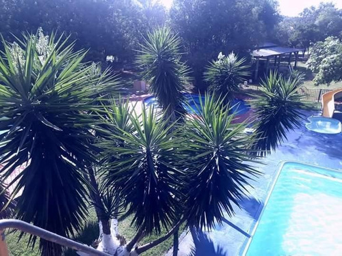 Imagem 10 de 18 de Área À Venda, 83000 M² Por R$ 12.450.000,00 - Imóvel Cataratas - Gleba Ii - Foz Do Iguaçu/pr - Ar0012