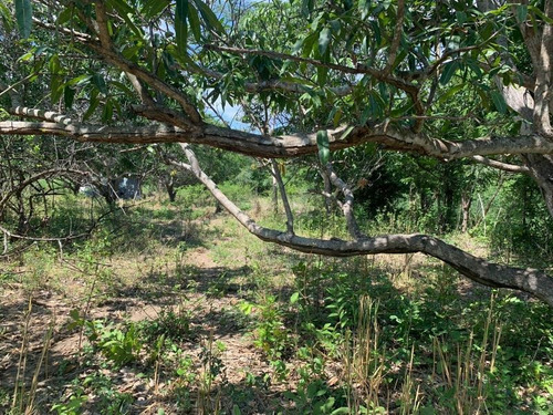 Imagen 9 de 12 de Terreno En Venta Rivera Cupia