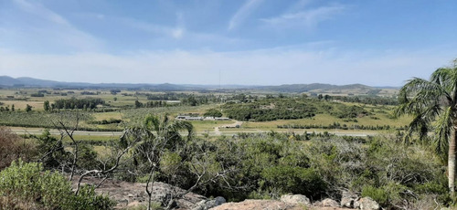Campo Sobre Ruta Interbalnearia