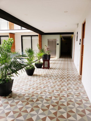 Imagen 5 de 19 de Departamento - Zazil Ha