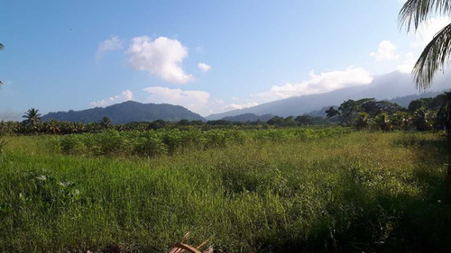 Imagen 4 de 13 de Finca Los Malavares Yaracuy
