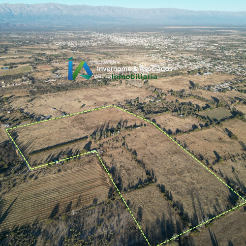 Campo En San Pedro