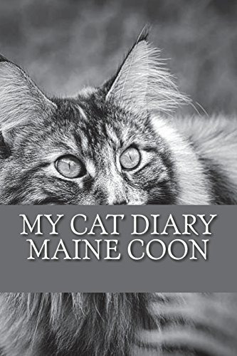 My Cat Diary Maine Coon