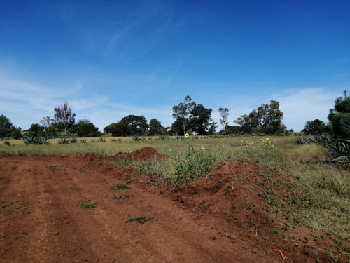 Imagen 7 de 12 de Terreno En Venta San Pablo Ojo De Agua