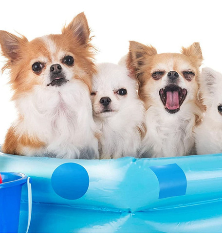 Parches De Reparación Autoadhesivos Para Piscinas, Reparació