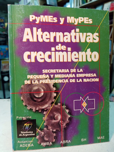 Alternativas De Crecimiento   Pymes Y Mypes   -tt  -990