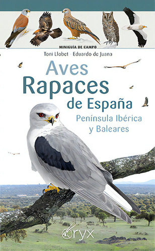 Aves Rapaces De Espaãâa Peninsula Iberica Y Baleares, De Llobet, Toni. Editorial Lectio Ediciones, Tapa Blanda En Español
