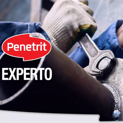 Limpiador Desengrasante Penetrit Chau Polvo 290/440