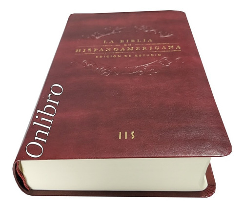 La Biblia Hispanoamericana Edición De Estudio Bh Bordo