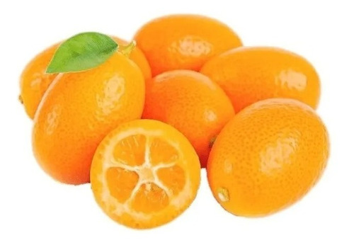 1 Arbolito De Mini-naranjitas Kumquat Japones Para Macetas