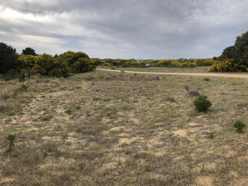 Lote Venta Punta Medanos 1224 Metros