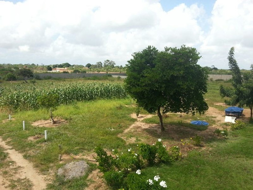 Imagem 5 de 8 de Terreno 10.000m Com Casa Em São Jose De Mipibú