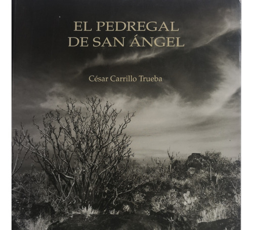 El Pedregal De San Angel. César Carrillo Trueba