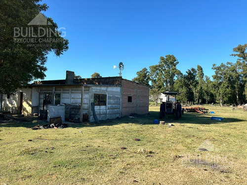 Campo En Venta - 58 Hectáreas- Saladillo