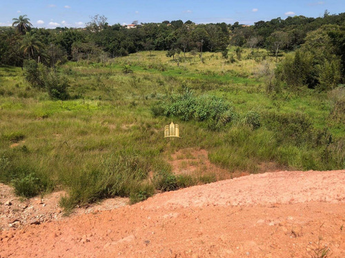 Imagem 12 de 14 de Terreno Na Br-040 - Te00506 - 70736923