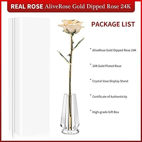 Regalo Del Día De San Valentín Rosa Sumergida En Oro