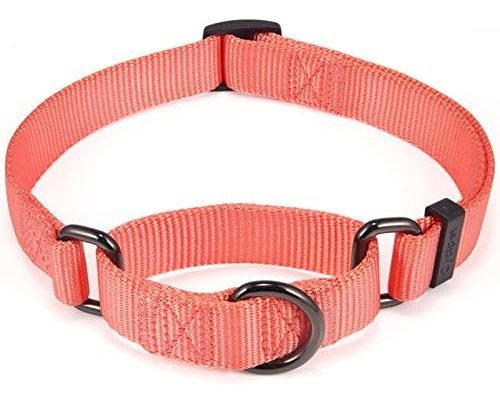 Ciclpet Nylon Ajustable Martingale Dog Lqrxi