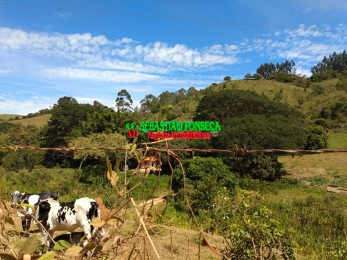Imagem 14 de 15 de Sítio Dos Sonhos Em Paraibuna - 3.8 Alqueires - 1001