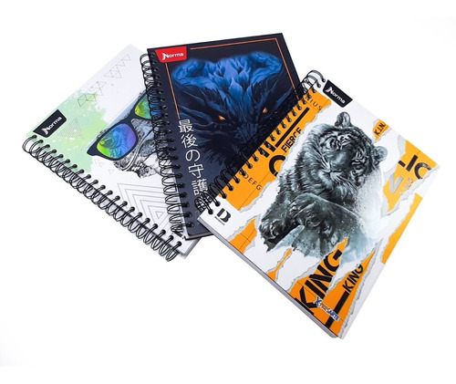 Cuaderno Argollado Cuadriculado X-presarte Masculino 