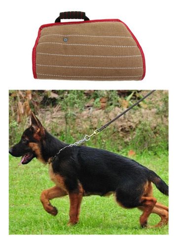 / De Mordedura De Perro Perros Accesorios De Mascota Fácil