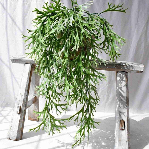 2 Buques Folhagens Pendente Chifre De Veado Planta Realista