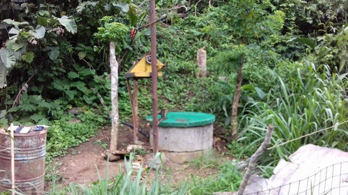 Imagen 13 de 14 de Venta Finca 67 Hectáreas Nigua Yaracuy Oportunidad Cod. 8973