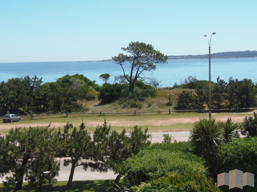 Imagen 13 de 30 de Apartamento En Punta Del Este, Mansa