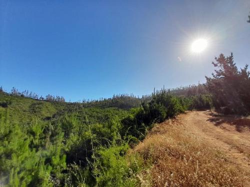 Sitio ¡oferta!/quebrada La Queseria