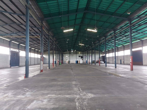 Imagen 7 de 14 de Galpón En Alquiler En Guacara