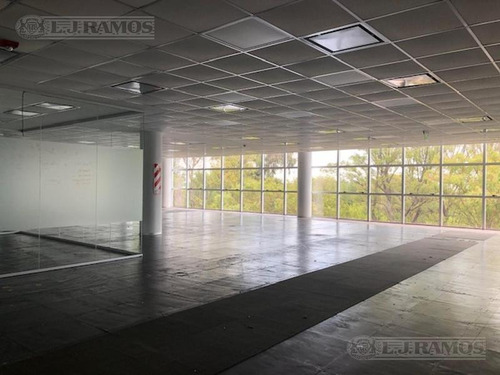 Imagen 9 de 17 de Alquiler De Oficina De 400 M2 En Vicente López