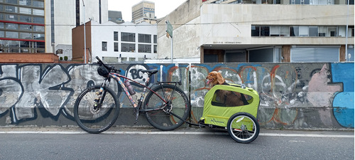 Remolques Trailer De Bicicleta Para Mascota Perros Grandes H