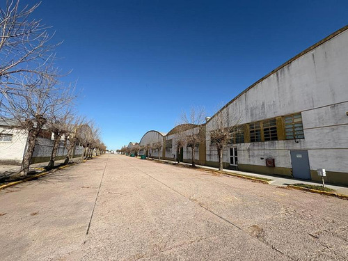 Oportunidad Industrial En Coronel Suárez: Planta Con 40.000 M² Cubiertos En Terreno De 109.000 M²
