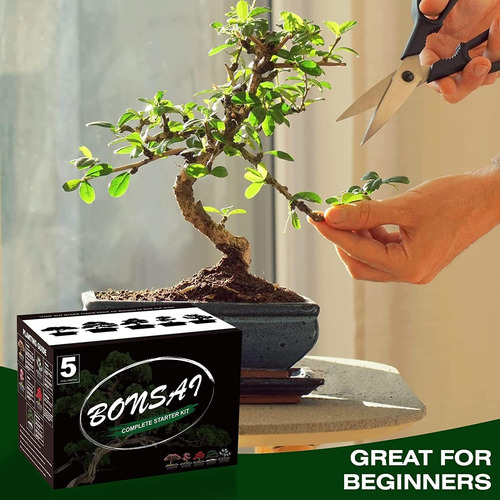 Kit Bonsái Artificial Interior Para Jardinería Casa (5 Pzas)