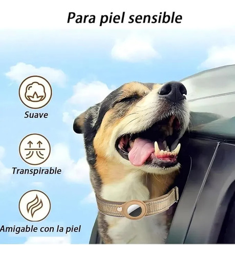 Collar Perro Airtag,con Funda Airtag,ajustable Caqui Corazones L