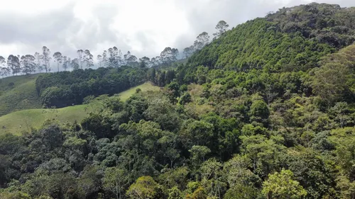 Vendo Permuto Finca Líbano Tolima