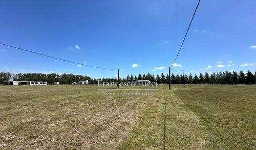 Lote Central En Venta Campos De Roca Ii