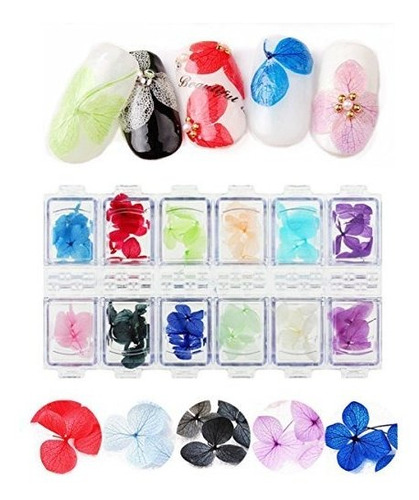 Wehous 2 Packs Nail Art Dry True Flower Pegatinas De Uñas D