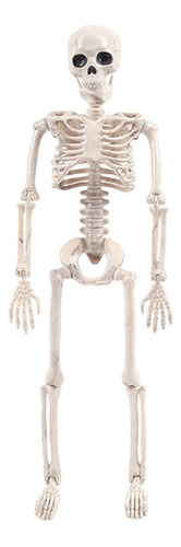 Esqueleto Modelo De Vida Completa De Halloween