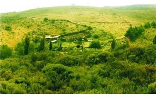 Imagen 6 de 22 de Traslasierra - Estancia Aguas Del Tala - Pueblo Ambul - Pampas Del Pocho - 383has Cercadas A La Venta En Una Zona De Crecimiento Constante - Mina Clavero - Cordoba