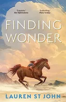 Comprar Libro Finding Wonder  De St John, Lauren  Faber And Faber Lt